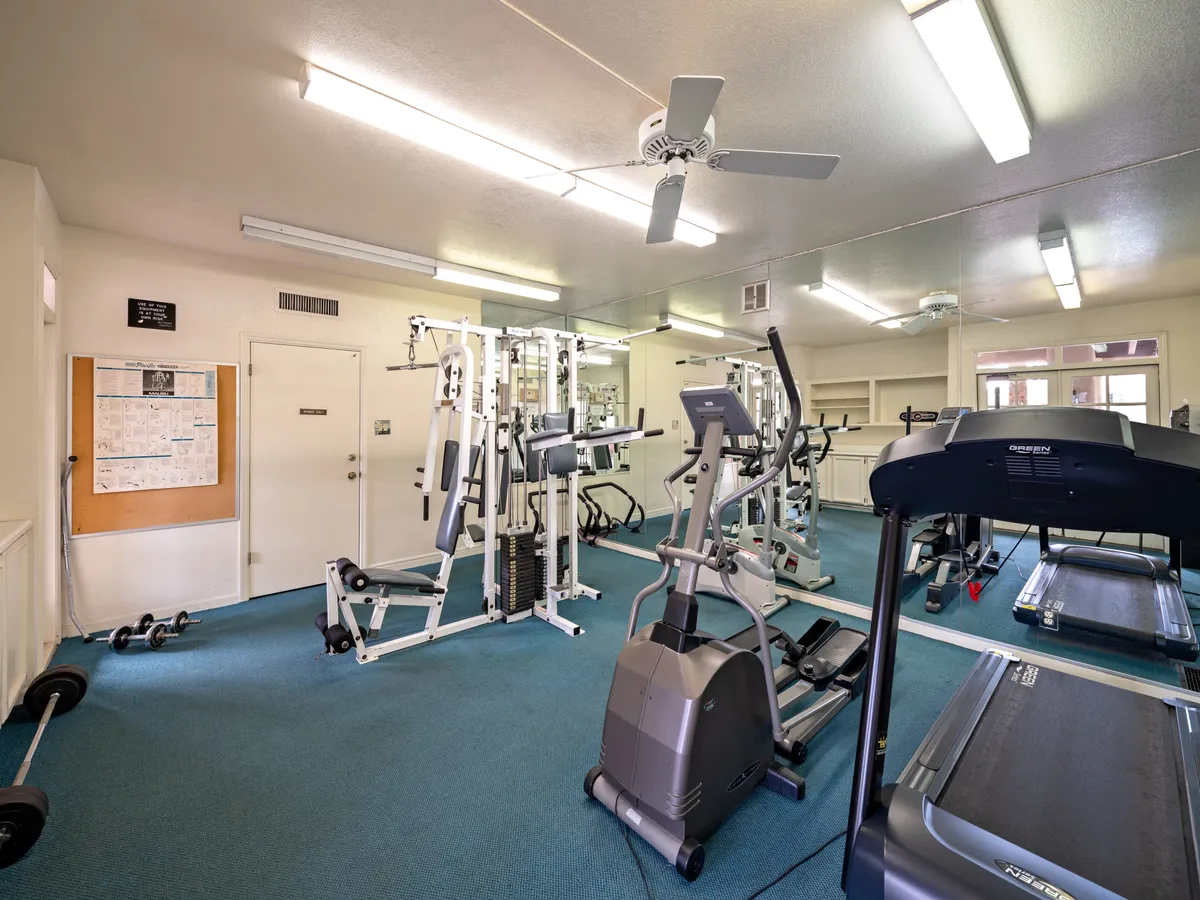 Inside a well-equipped fitness center, this image shows modern cardio and weight machines against a backdrop of mirrors and natural light, illustrating the facility's readiness for a variety of workout routines.